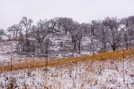 The prairie, trees and hills of the Pleasant Valley Conservancy in Southern Wisconsin.の写真素材