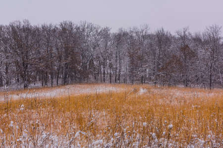High prairie of the Pleasant Valley Conservancy in Southern Wisconsin.の写真素材