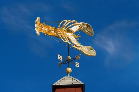 A golden lobster weather vaneの写真素材