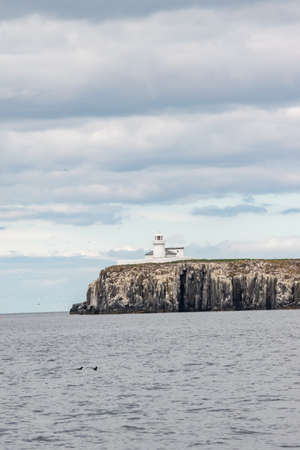Island with lighthouse and blue sky and animals everywhereの写真素材