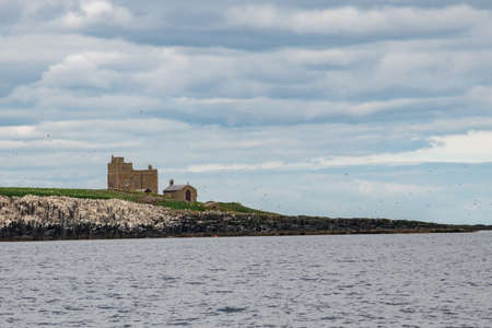 Island with lighthouse and blue sky and animals everywhereの写真素材