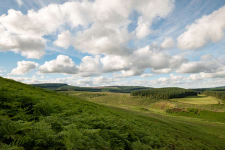 Views of the mountain and forest with cloudy skyの写真素材