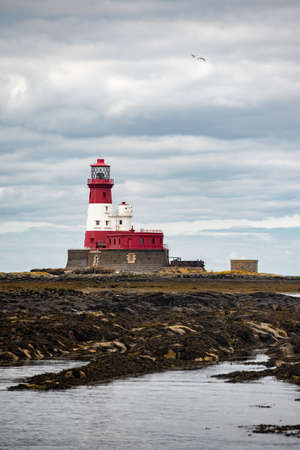 Island with lighthouse and blue sky and animals everywhereの写真素材