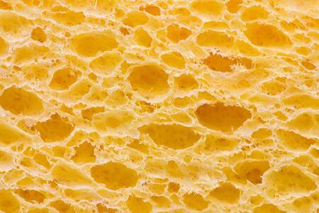 Sponge textureの写真素材