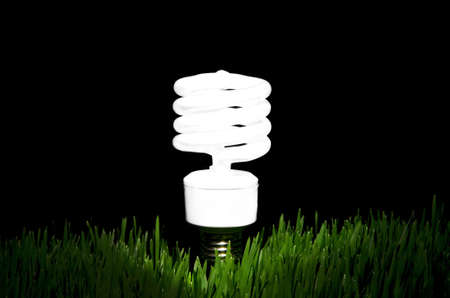 Image of an energy efficient light bulb amidst green grass with black backgroundの写真素材