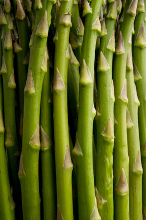 Image of a close-up of asparagus stalksの写真素材