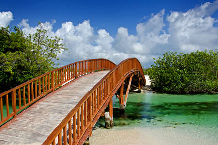 Image of an arched wooden bridge spanning over a small natural river flowing into the oceanの写真素材
