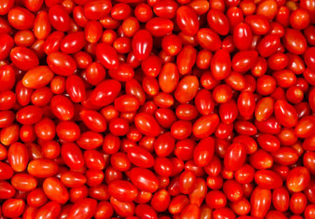 Image of many Roma Tomatoes piled up so it fills the entire imageの写真素材