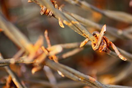 Barbed wire の写真素材
