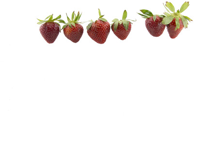Strawberries with white backgroundの写真素材