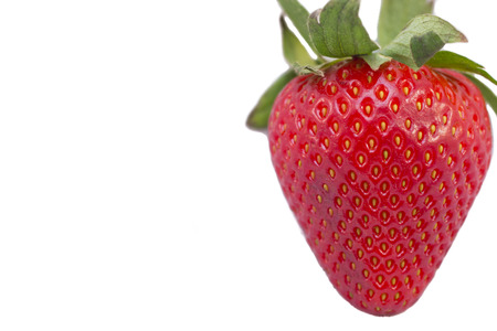 Bright Red Strawberry with white backgroundの写真素材