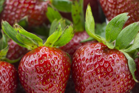 Strawberries with white backgroundの写真素材