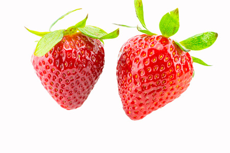 Ripe Red Strawberries With White Backgroundの写真素材