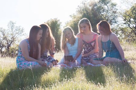 Group of Girls Sitting Together in Grassy Field With Sunlight Overheadの写真素材