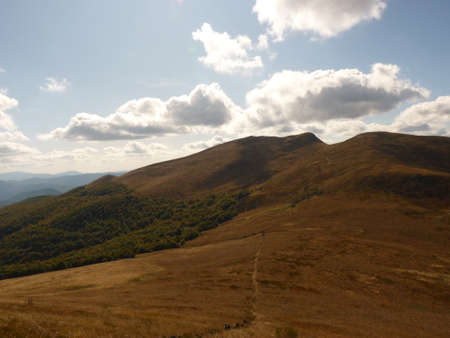 Beautiful grassy pastures and peaks of the Bieszczady mountains.の写真素材