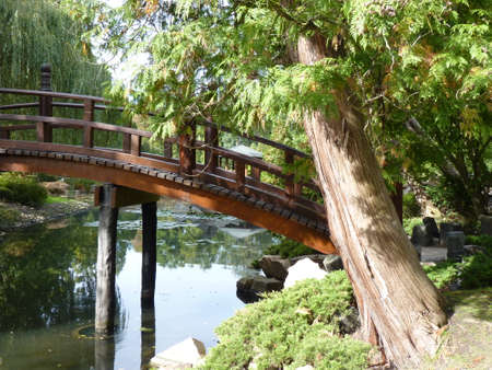 Japanese Garden. Exotic plants, a pond and a wooden bridgeの写真素材