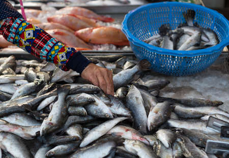 Thai woman choosing fresh fish at the local market in Thailand
