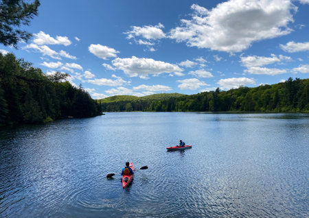 Kayakers paddling on a still lake surrounded by forest in the early summerの写真素材