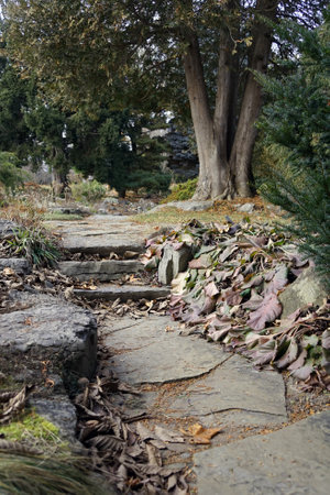 Stone steps on a leaf-strewn path through a park in winterの写真素材