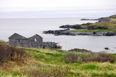 Abandoned, collapsed wooden house set in a grassy meadow on Newfoundland's north-eastern coastの写真素材