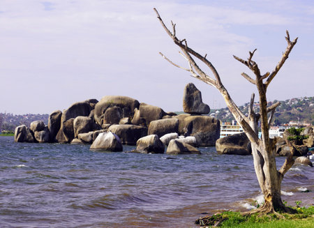 Granite blocks of Bismarck Rock with a leafless tree in the foreground and Lake Victoria in the backgroundの写真素材