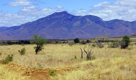 Landscape of Okavango Delta - Moremi National Park in Botswanaの写真素材