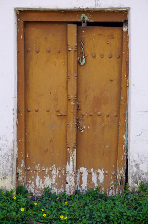 Old wooden door with green plants and flowers in the background, Thailand.の写真素材