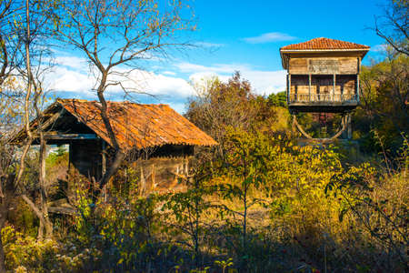 Two old fairy houses in the autumn forestの写真素材