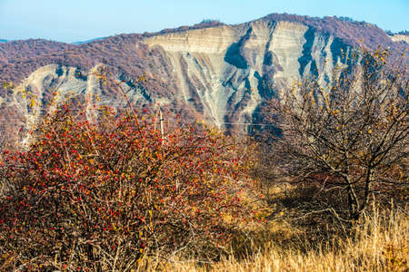 Picturesque mountain view in autumnの写真素材