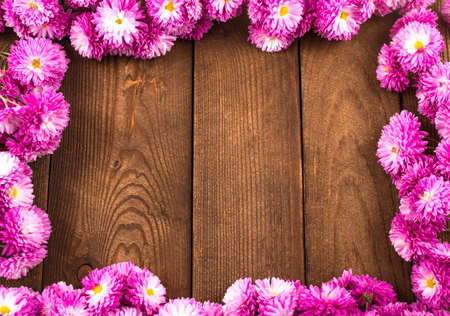 Frame of pink chrysanths on wooden backgroundの写真素材