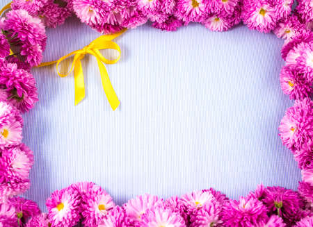 Frame of pink chrysanths on blue backgroundの写真素材