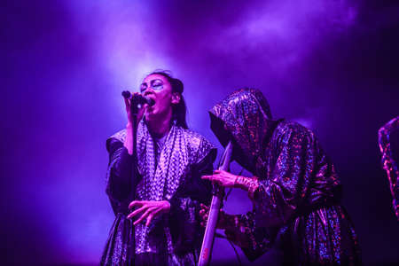 BARCELONA - MAY 24, 2013 - Swedish electronic music duo The Knife performs at Primavera Sound 2013 Festival on May 24, 2013 in Barcelona, Spain.のeditorial素材