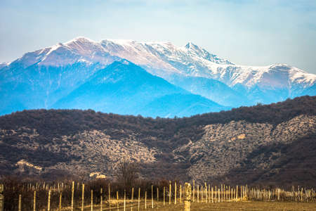 Caucasus mountains and vineyard in Kakheti region, Georgiaの写真素材