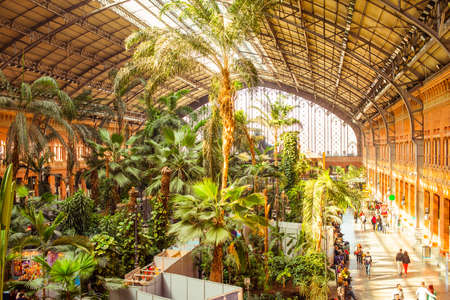 MADRID, SPAIN - MARCH 12: Tropical green house, location in 19th century Atocha Railway Station in March 12, 2014 in Madrid, Spain.のeditorial素材