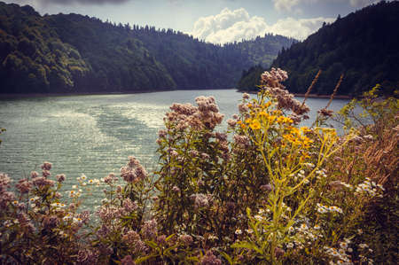 Lake Shaori in Georgia, Caucasus. Toned pictureの写真素材