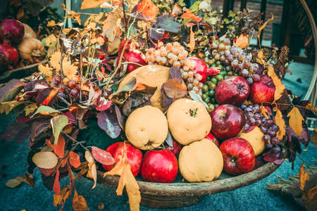 Dish with assorted autumn fruits and leaves. Toned pictureの写真素材