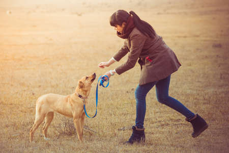 Pretty girl wailking with her dog. Toned imageの写真素材