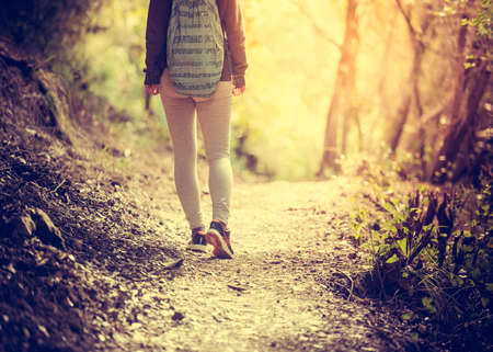 Walking or running legs on trail, adventure and exercising in forest at sunset. Toned pictureの写真素材