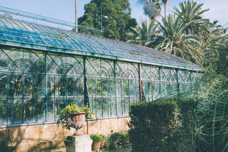 Greenhouse in botanical garden. Toned imageの写真素材