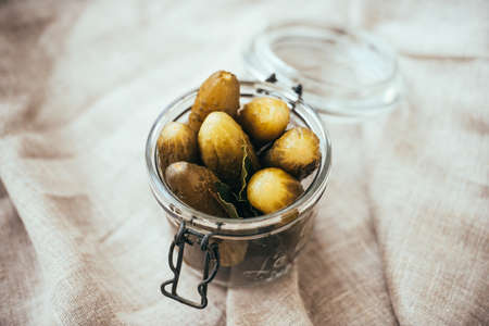 Pickled cucumbers in a small jarの写真素材