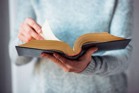 Young woman reading a bookの写真素材