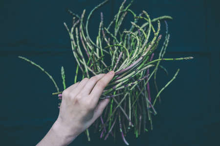 Hand holding a bunch of fresh asparagus on dark background. Toned pictureの写真素材