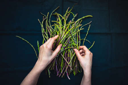 Hands holding a bunch of fresh asparagus on dark backgroundの写真素材
