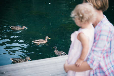 Mother and daughter feed the ducks during a walk outdoors. Focus on water and ducks. Toned imageの写真素材