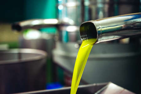 Oil is pouring from the tube at a cold-press factory after the olive harvesting in one of the sicilian villages, Italyの写真素材
