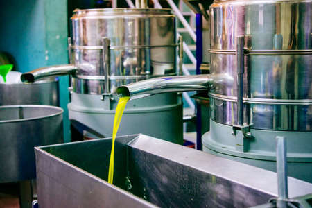 Oil is pouring from the tube at a cold-press factory after the olive harvesting in one of the...