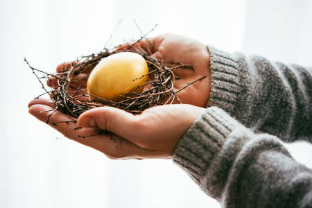 Hands holding golden egg in a small nest. Selective focusの写真素材