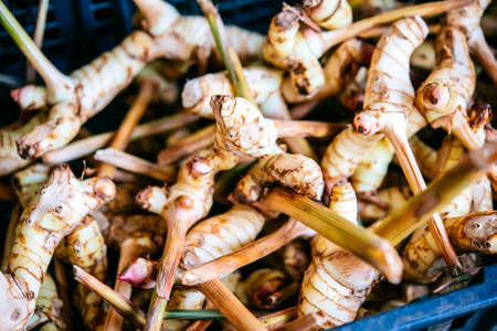 Pieces of galangal on sale at one of the markets at Koh Samui, Thailand. Selective focusの写真素材