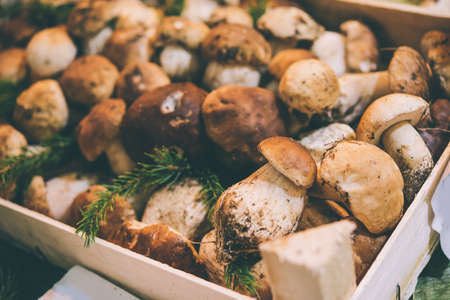 Porcini mushrooms on sale at one of the markets in Genova, Italy. Toned pictureの写真素材