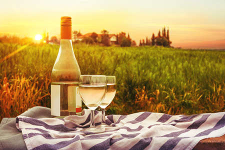 View of a picnic in the nature with bottle of white wine and appetizers. Picturesque farm seen in the background.の写真素材